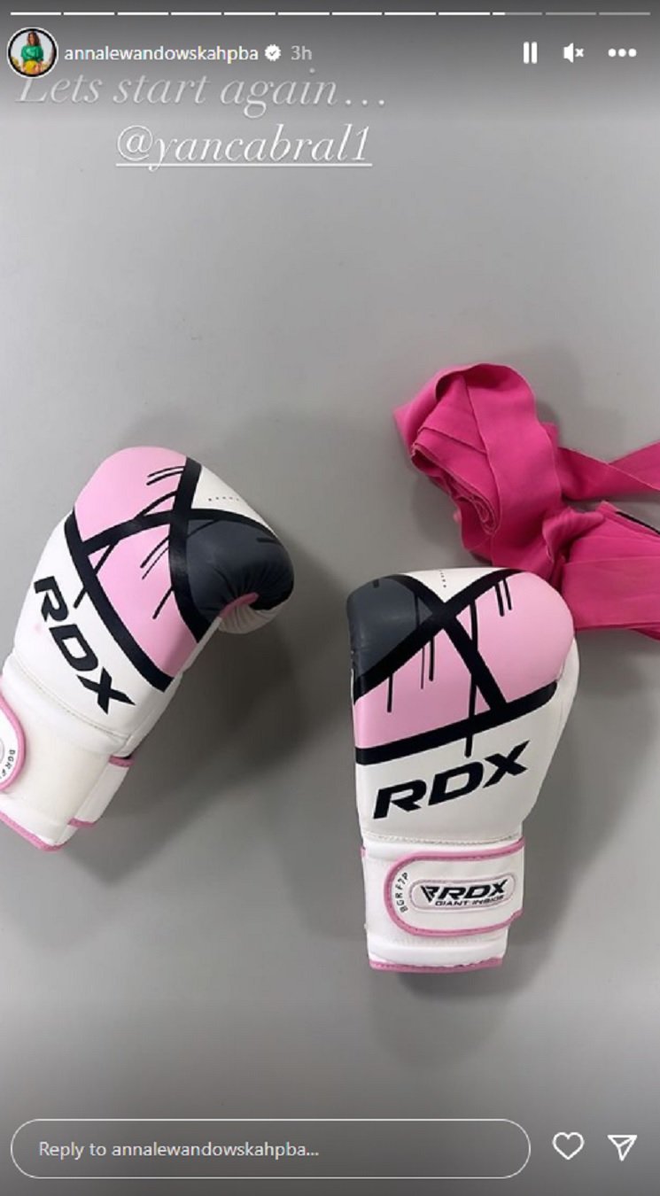 Guantes de boxeo de Lewandowska   IG