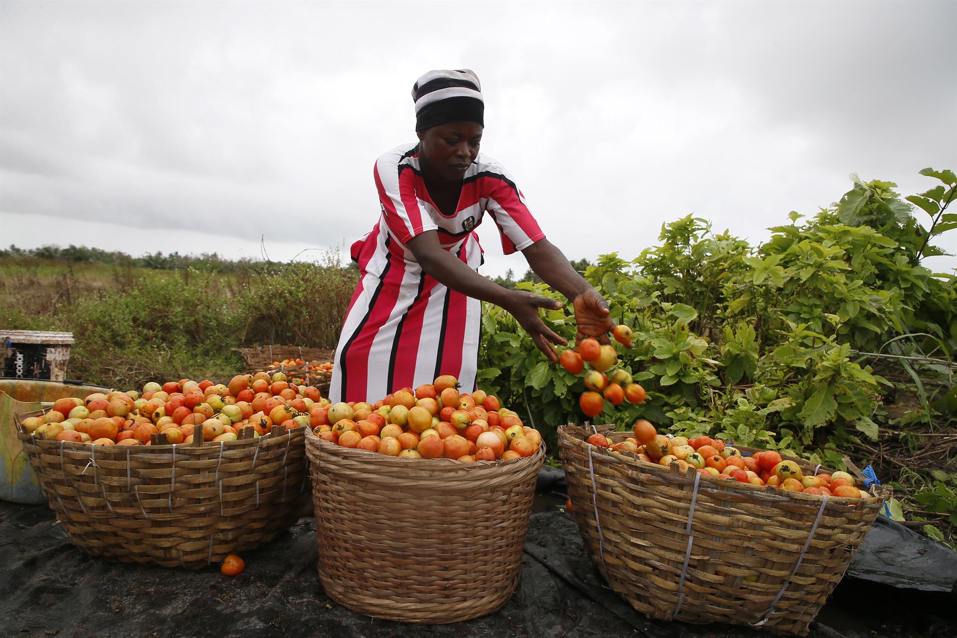Abidjan (Costa d'Ivori)