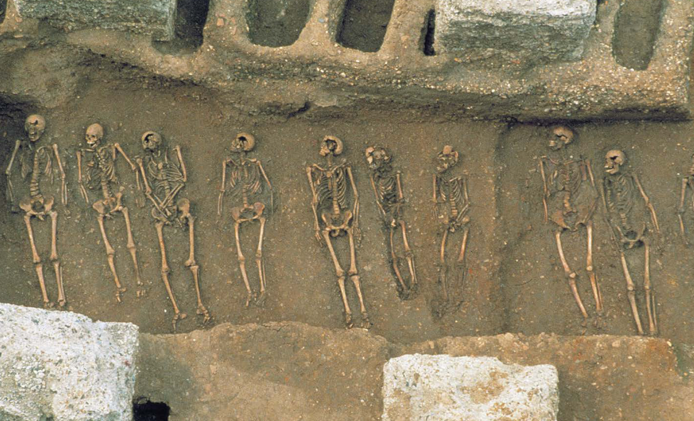 Fosa comuna del cementiri medieval d’East Smithfields (Londres) on s’anaven enterrant els centenars de morts de la Pesta negra, que va assotar Europa al segle XIV. Imatge extreta del treball de Klunk et al. (2022) Nature 