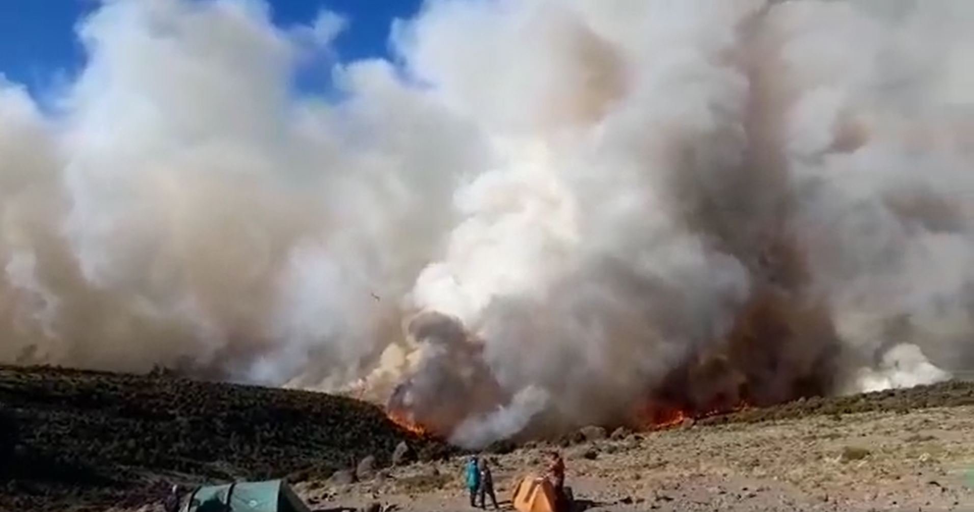 Centenares de bomberos intentan apagar un incendio en la montaña del Kilimanjaro I VIDEO