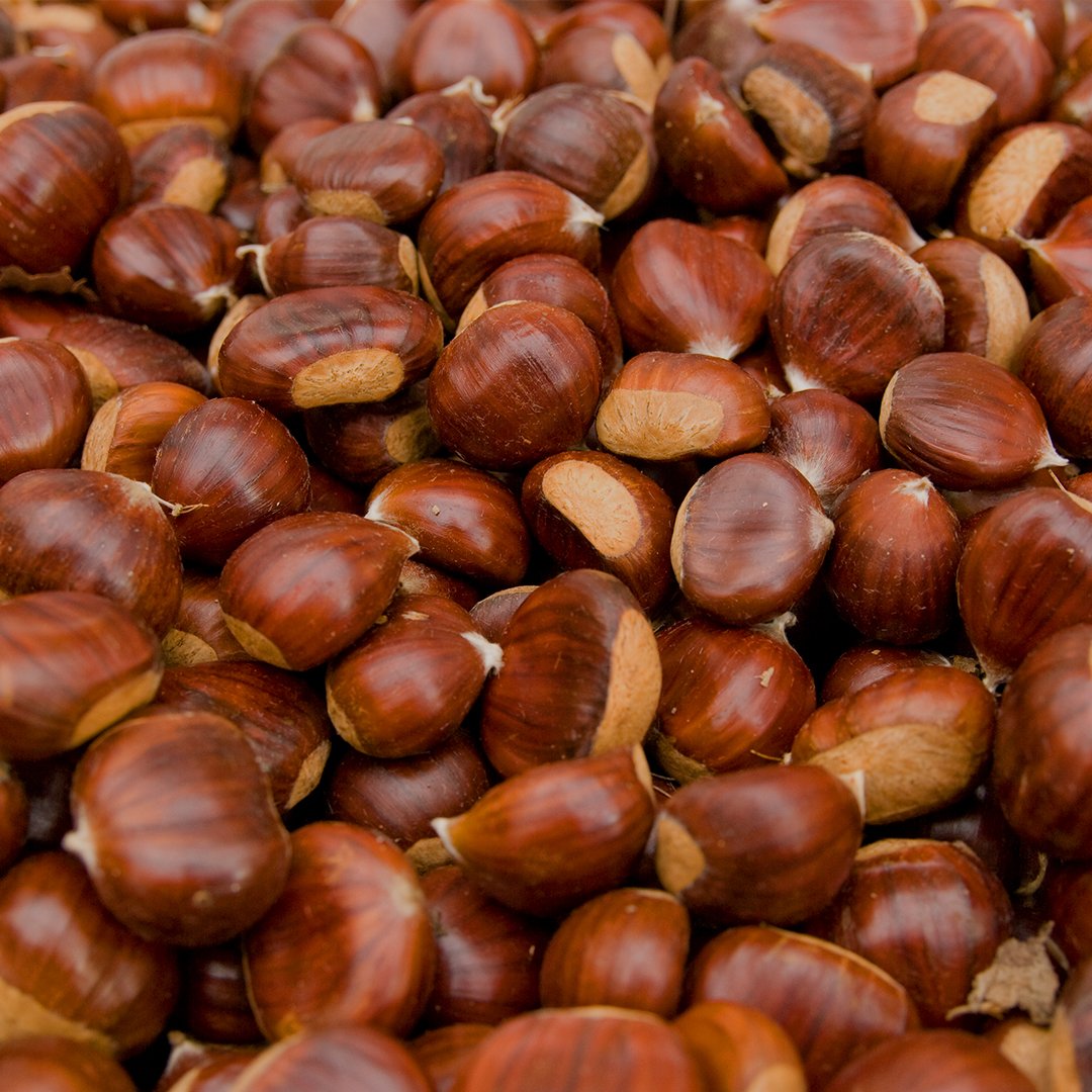 La castanya és una fruita seca?
