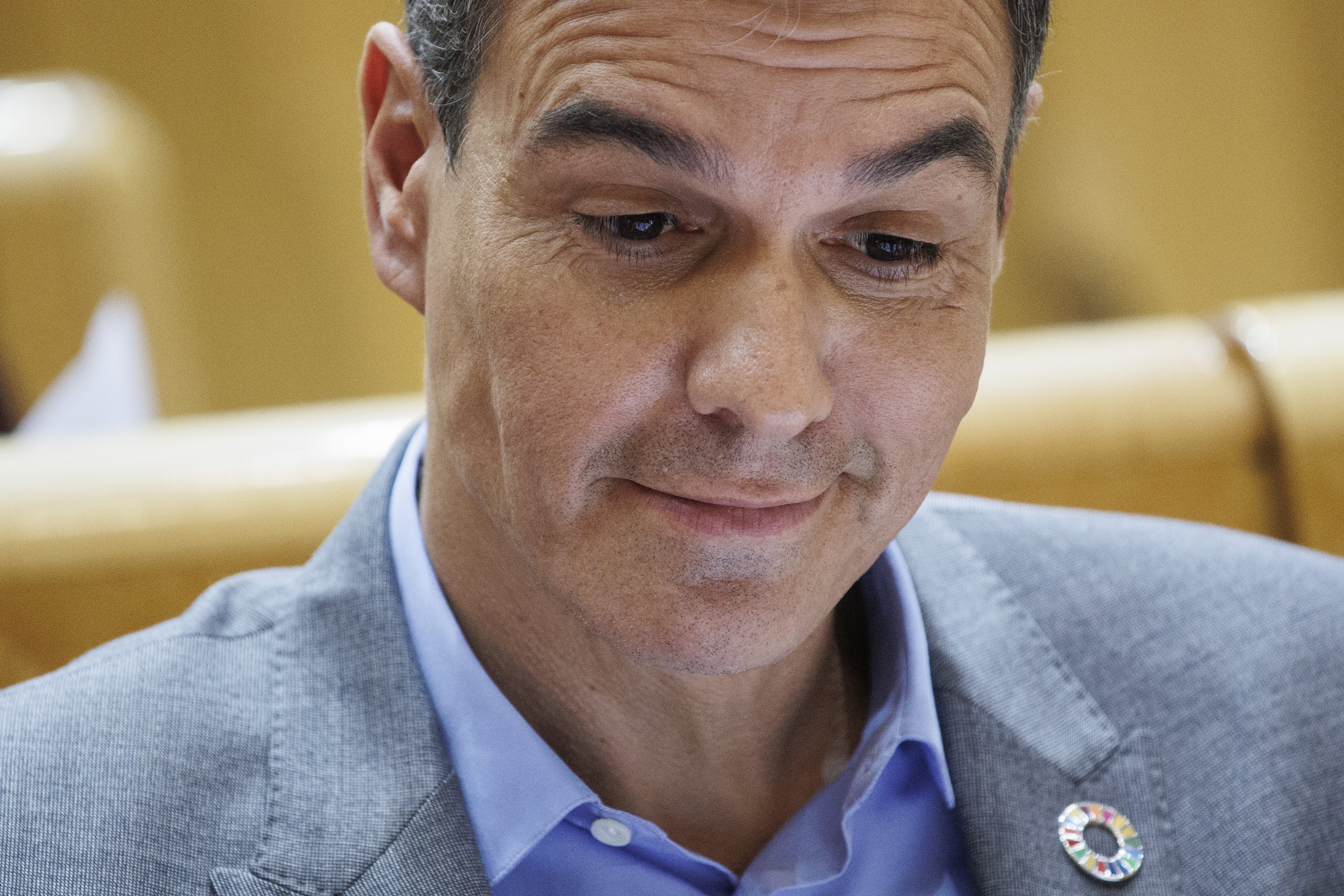 Pedro Sánchez presidirà la Internacional Socialista a falta d'altres candidats