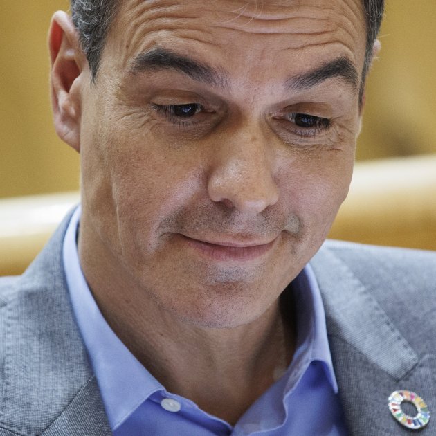 presidente Gobierno espanya pedro sanchez psoe Alejandro Martínez Vélez Europa Press