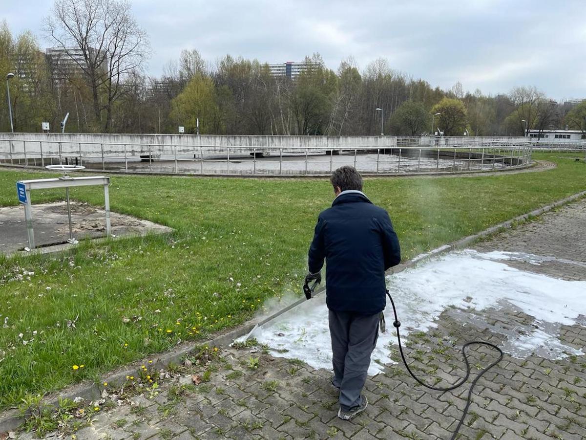 Un herbicida biodegradable en forma de espuma iguala la efectividad del controvertido glifosato