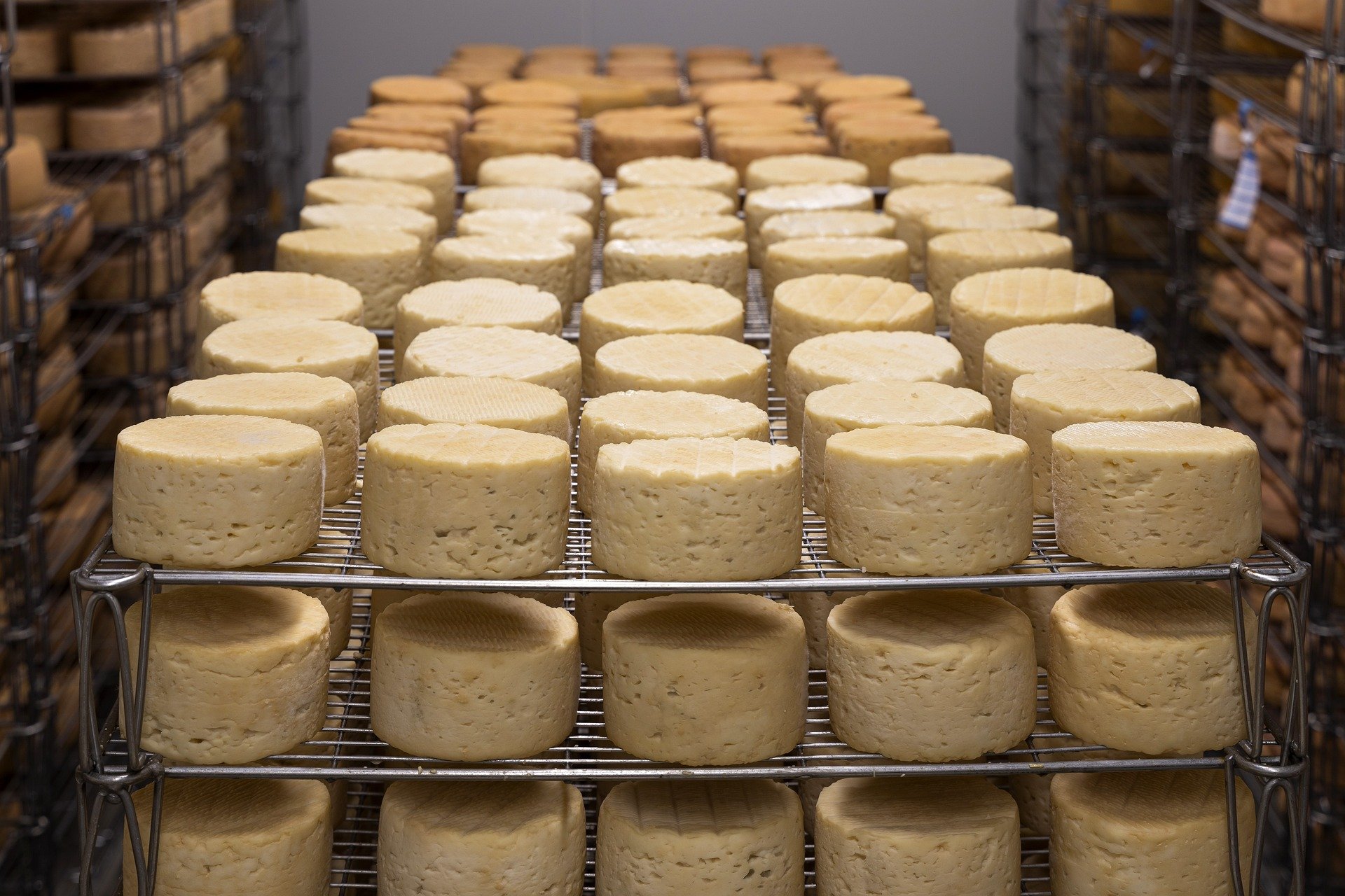 Más de 3.300 años obsesionados con el queso