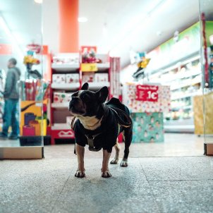 Les botigues de mascotes tindran una pròrroga d'un any per tancar