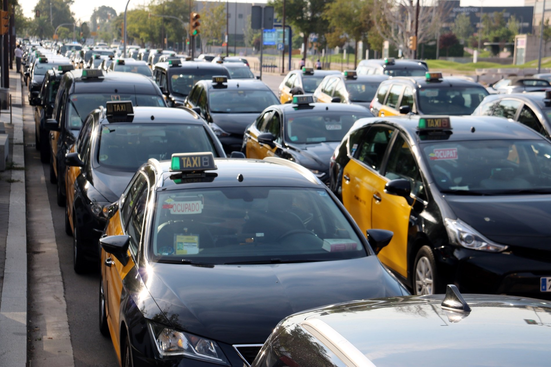 Picmi Taxi, la nueva aplicación pública para pedir un taxi en Barcelona