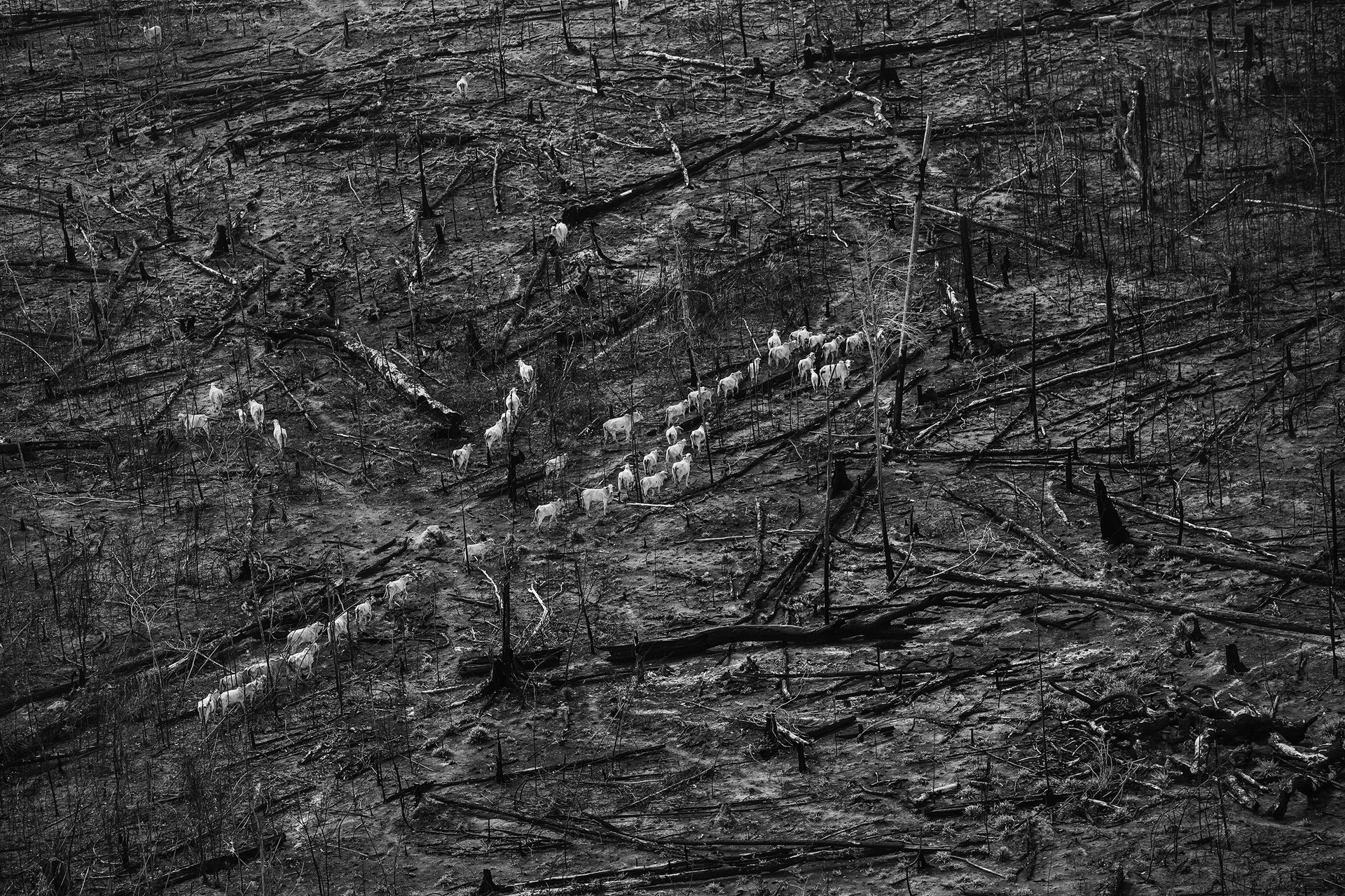 World Press Photo 2022: Proyecto a largo plazo