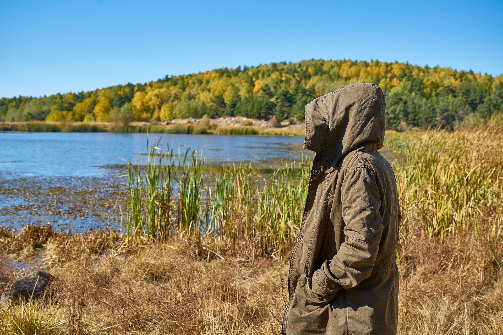 Fred de otoño / Foto: Pixabay Fred de otoño / Foto: Pixabay