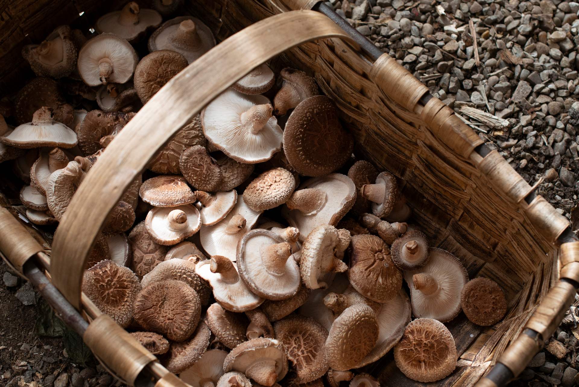 ¿Qué verduras de temporada puedo comer en otoño?