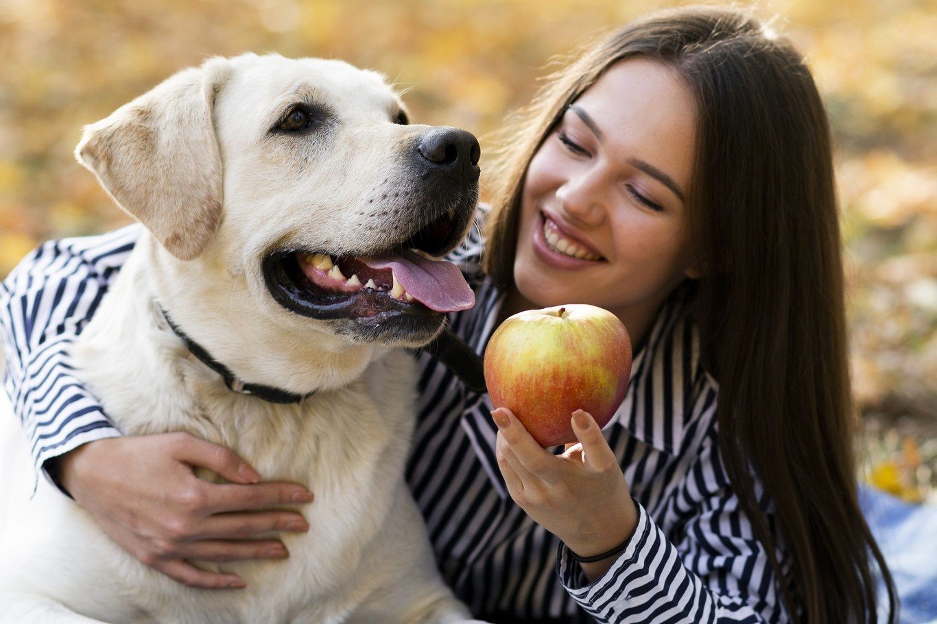 Frutas que pueden comer perros y gatos este otoño