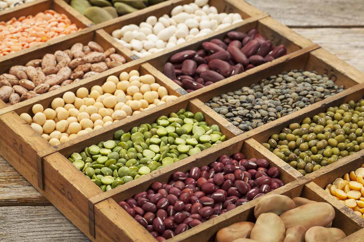 Dieta vegetal i proteïnes: així pots alimentar el teu cos