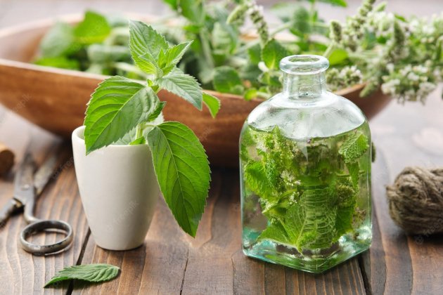 Infusión Menta Infusión Menta