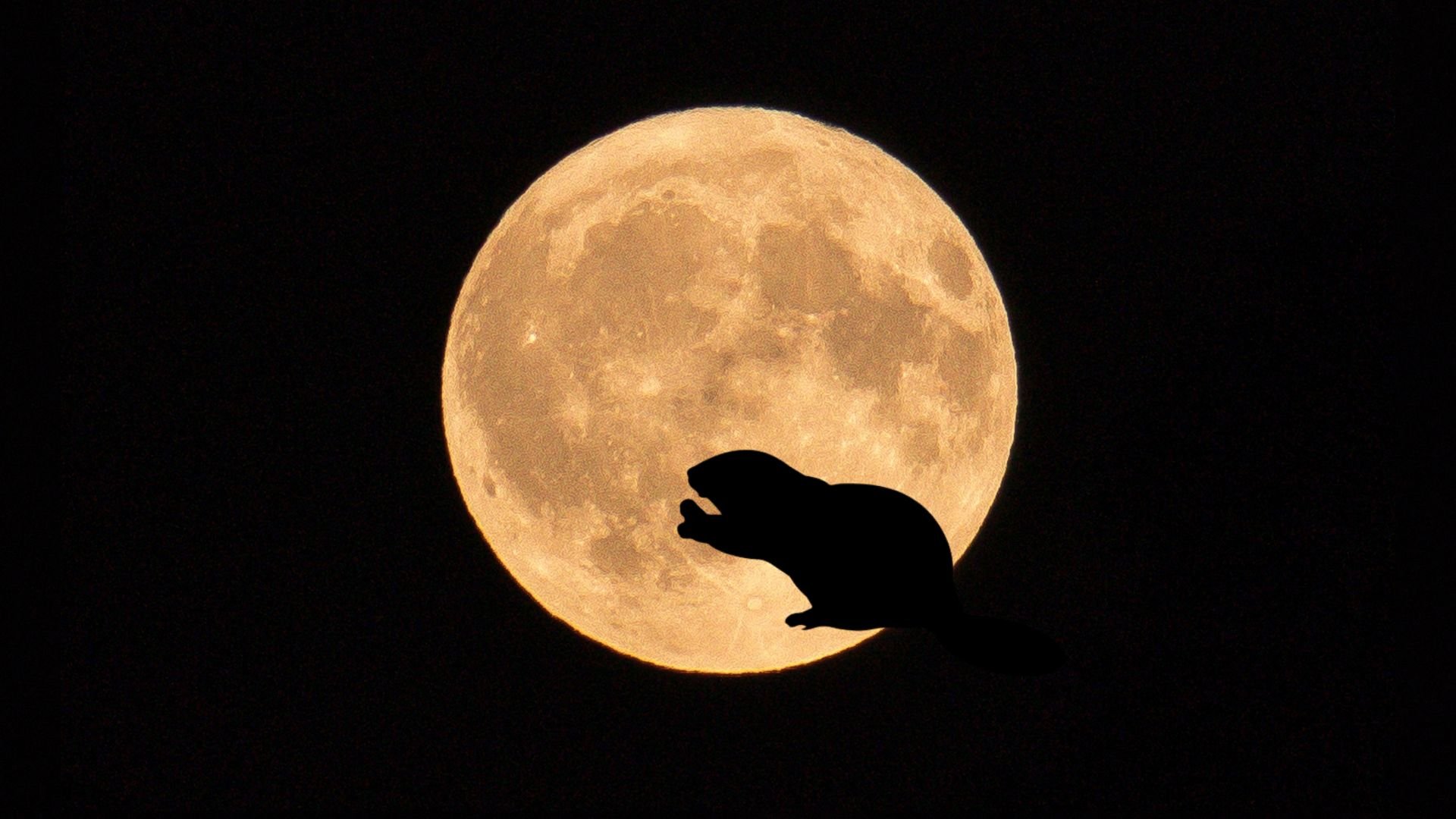 Luna del Castor noviembre 2022: cuándo es y desde dónde ver esta luna llena