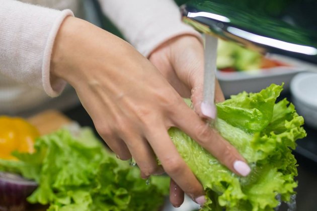 Lavar Alimentos Lavar Alimentos