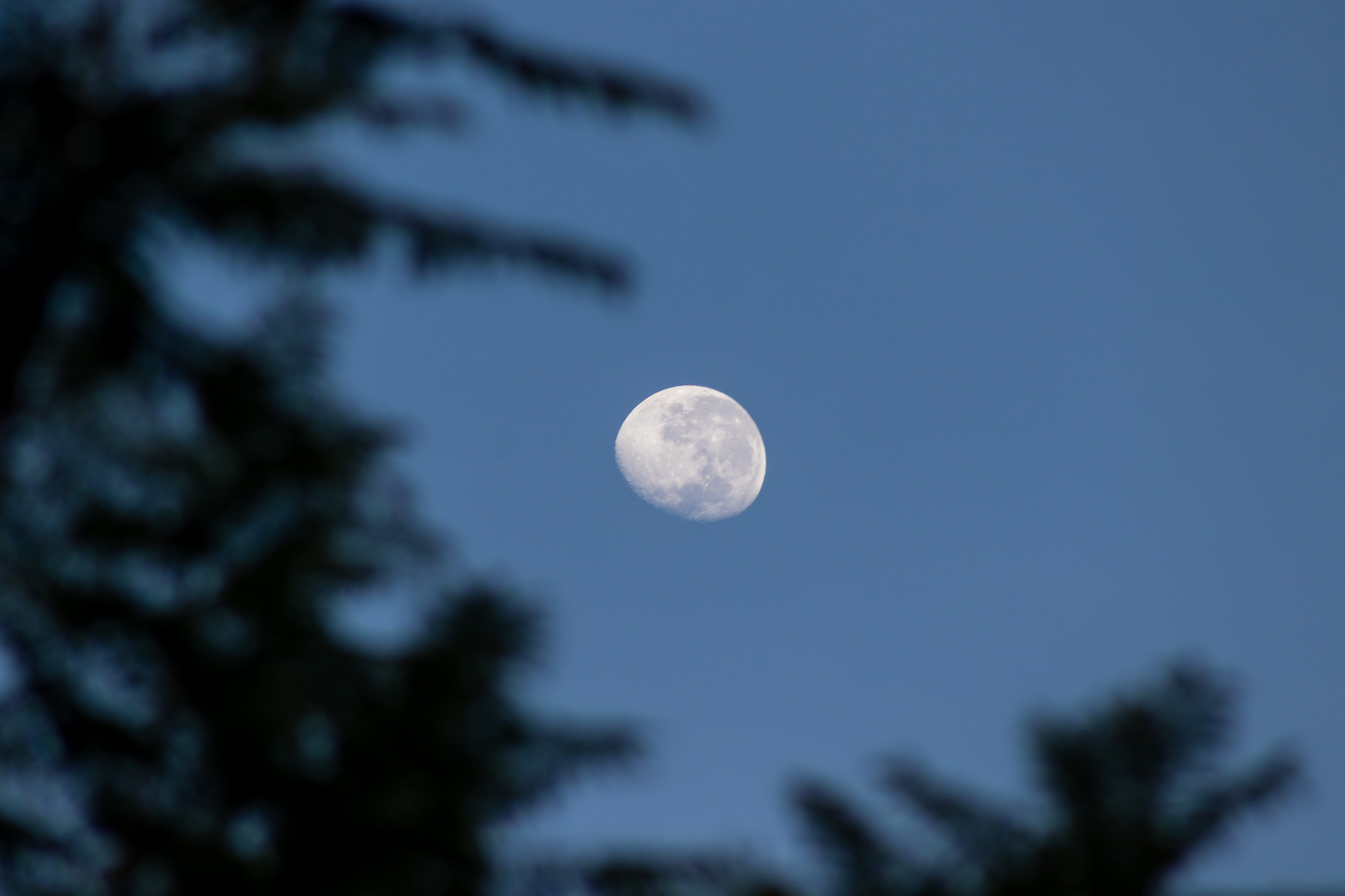 Calendari lunar desembre 2022: Lluna plena freda i fenòmens celestials del mes