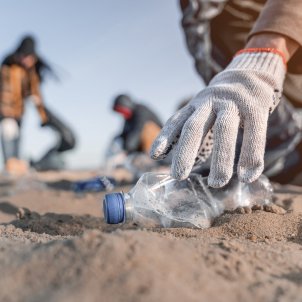 Treballar per l'emergència climàtica és feina de totes i tots   Shutterstock