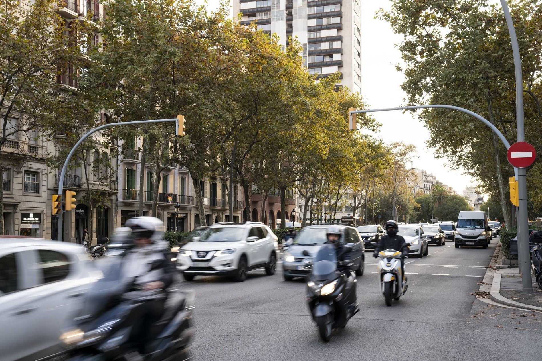 Alerta per l'impacte de la contaminació ambiental en els embrions