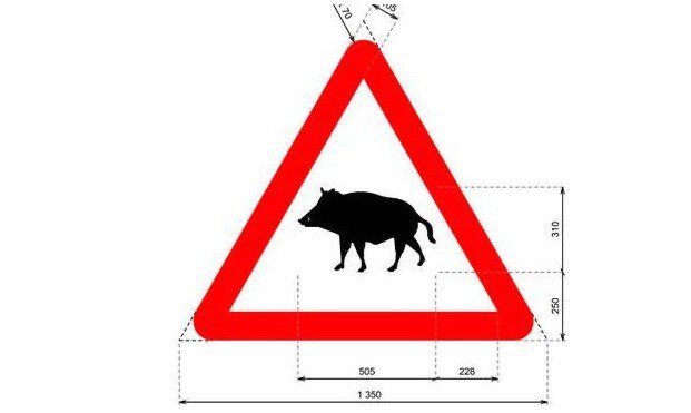 Los jabalíes son un problema tan serio para la circulación que hasta van a tener su propia señal