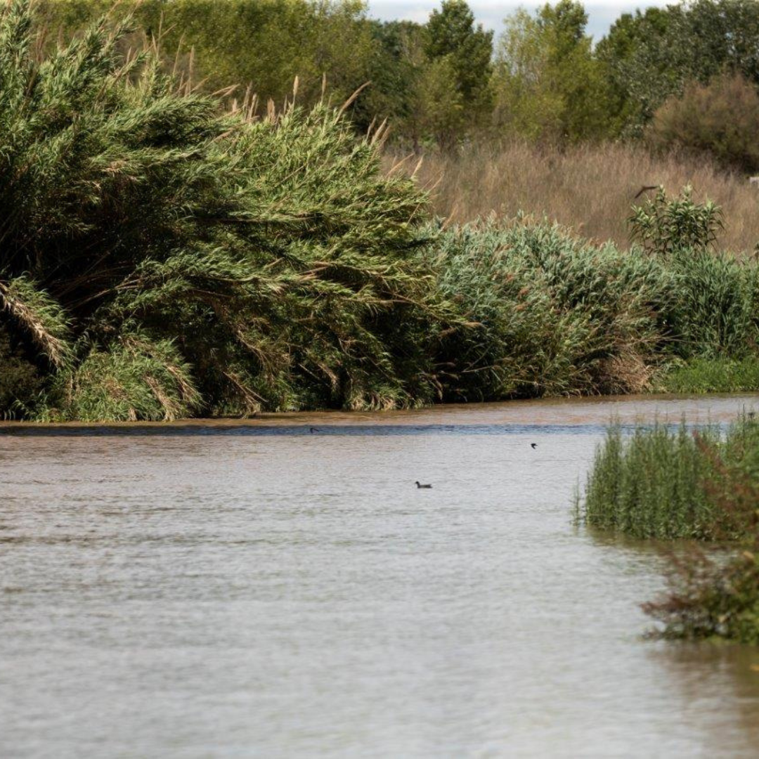 Saneamiento sostenible para cuidar el agua que no se ve