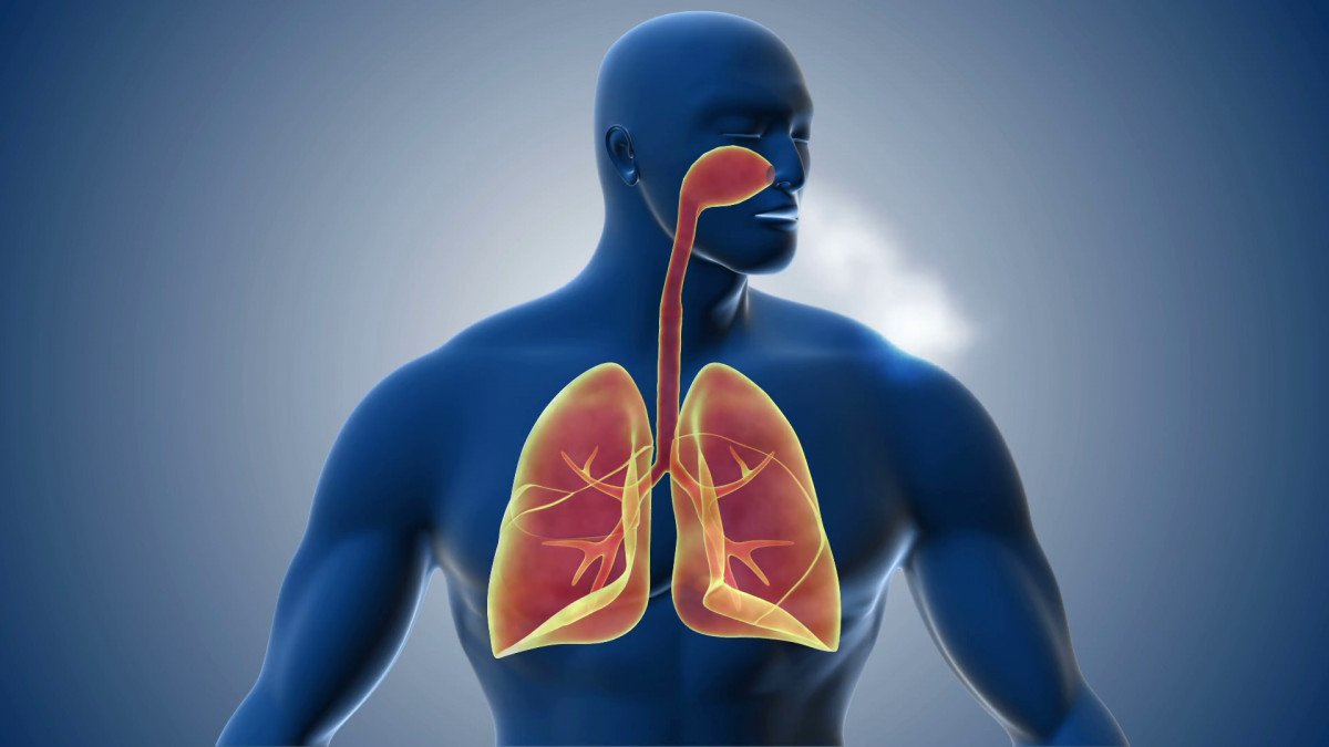 Sistema respiratorio: así puedes cuidarlo