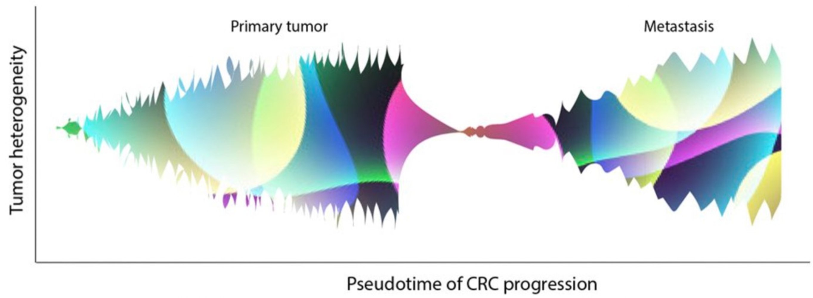 Tumor heterogeneity Tumor heterogeneity