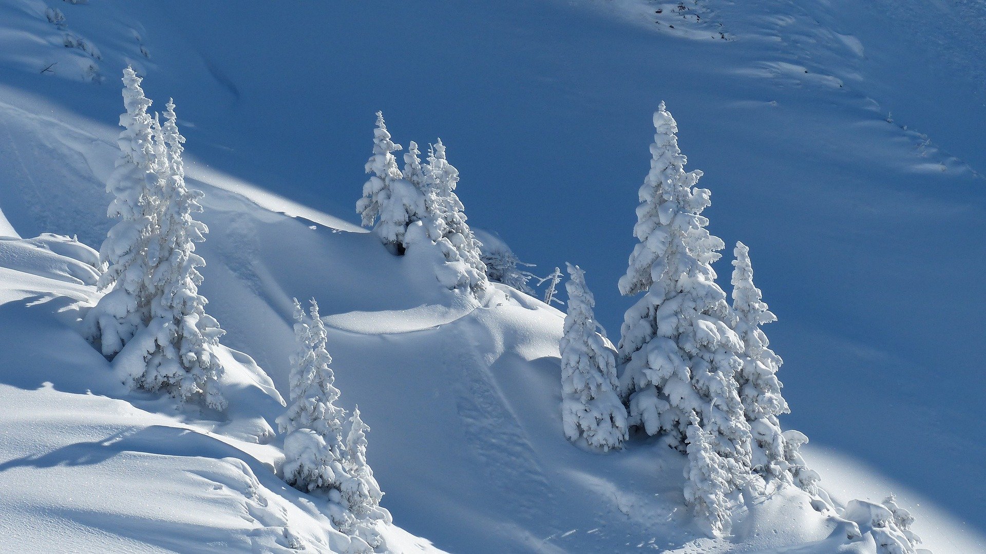 Neu hivern Foto Pixabay Neu hivern Foto Pixabay