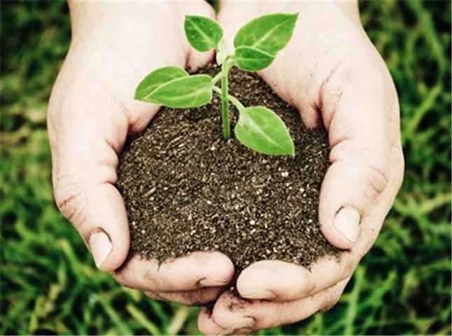 Una família als Estats Units construeix la seva casa amb terra i ampolles per fer-se una llar sostenible