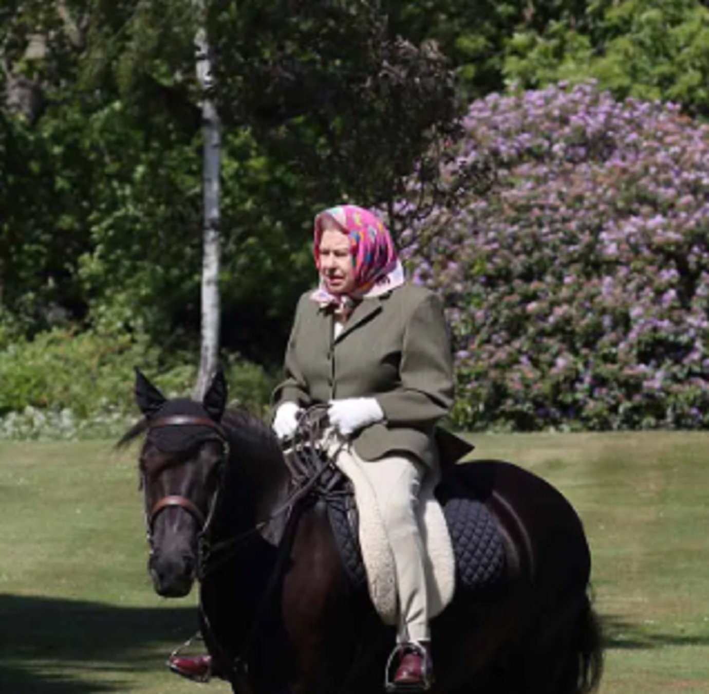 Isabel de Inglaterra, en caballo