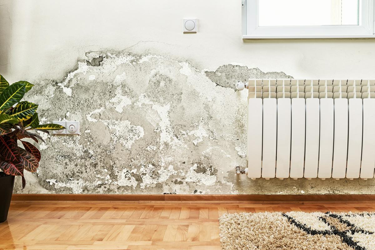 Cuidado con la humedad en las paredes: es antiestética y causa hasta enfermedades