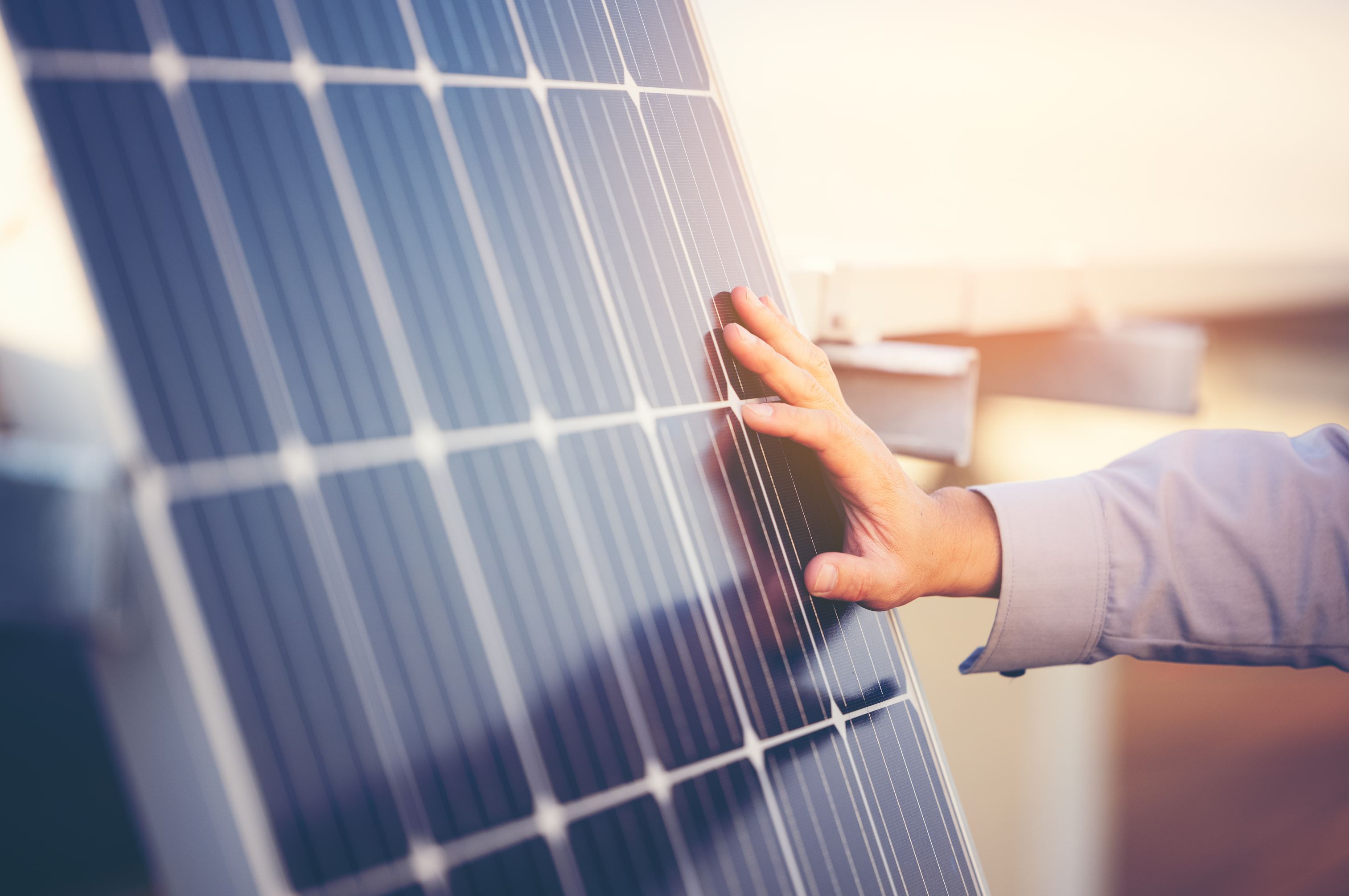 Una energética 100% verde y catalana: descubre las ventajas de BonpreuEsclat Energia