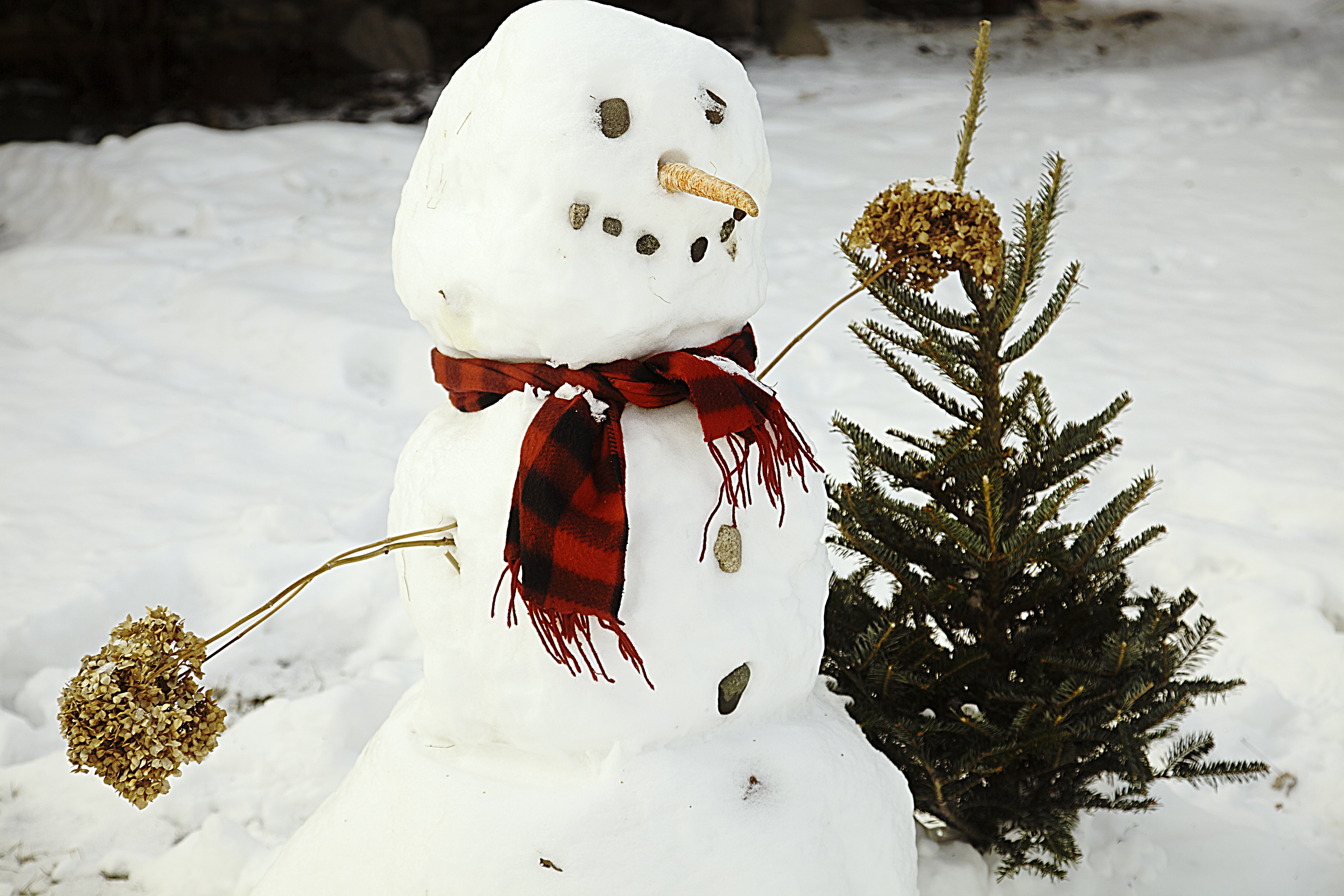 Muñeco de nieve frío Foto PxHere