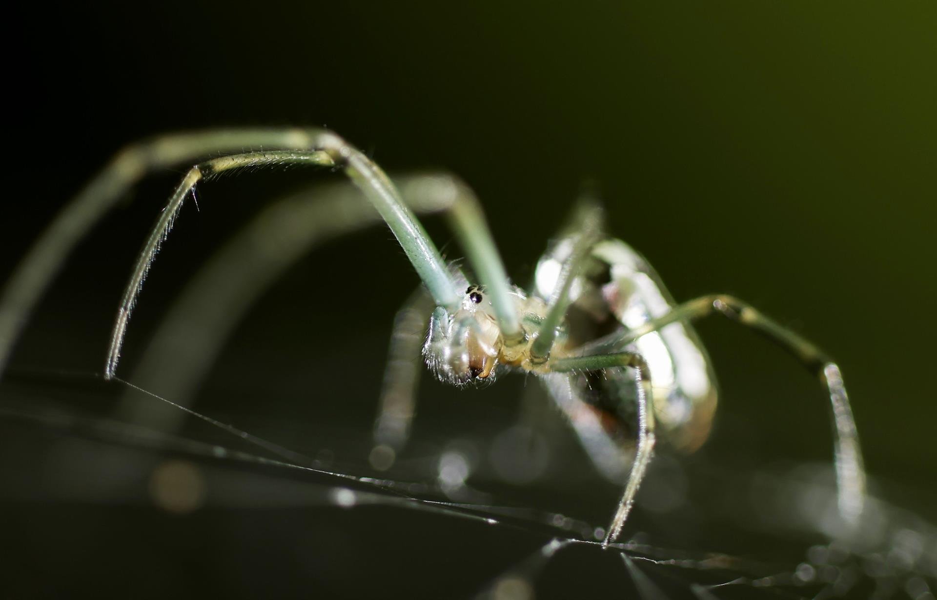 San José (Costa Rica)