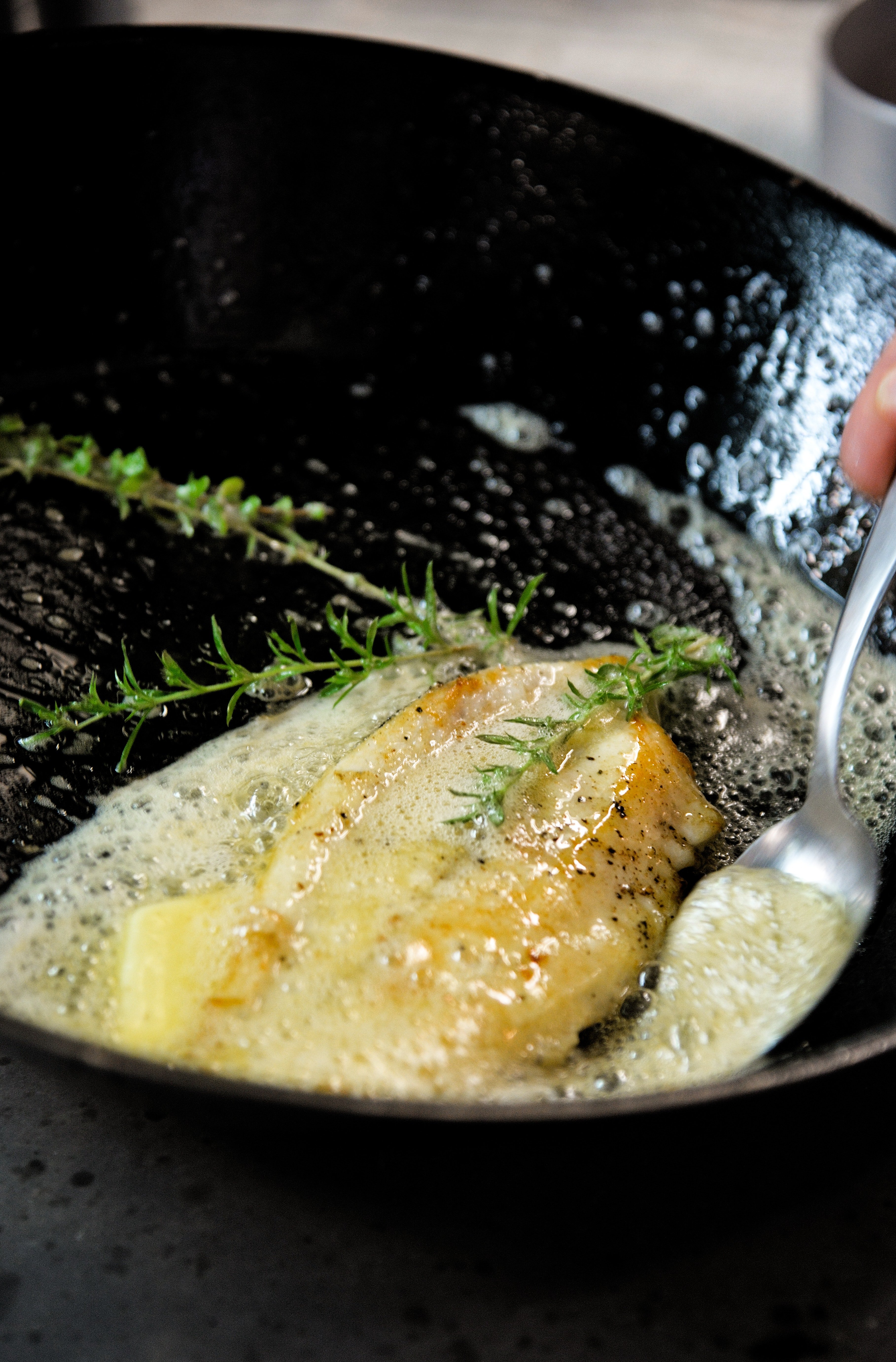 Dorada: beneficios, recetas y consejos de la reina de nuestra costa