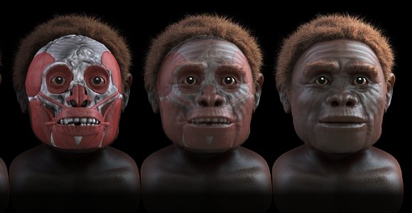 Un libro fantasea con la posibilidad de que el Homo floresiensis siga vivo