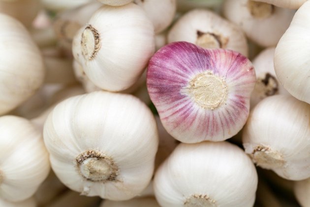 garlic gc19af0715 1280 garlic gc19af0715 1280