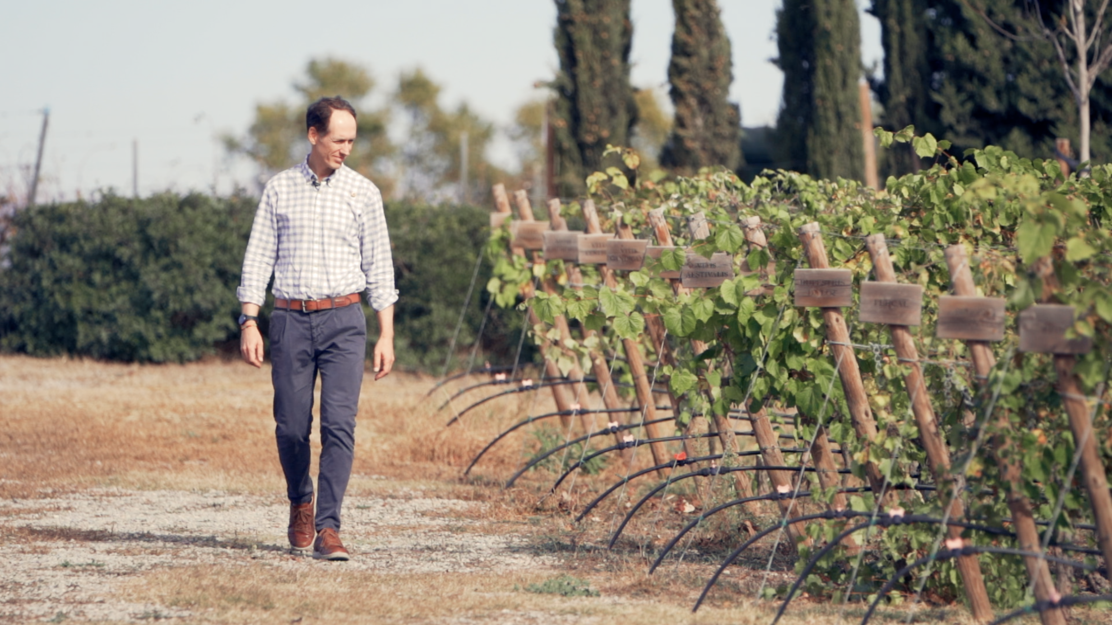 ¿Qué es la viticultura regenerativa y cómo puede frenar el cambio climático? Nos lo explica Miquel Torres
