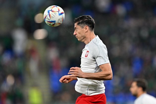 Lewanodwski con Polonia / Foto: EFE