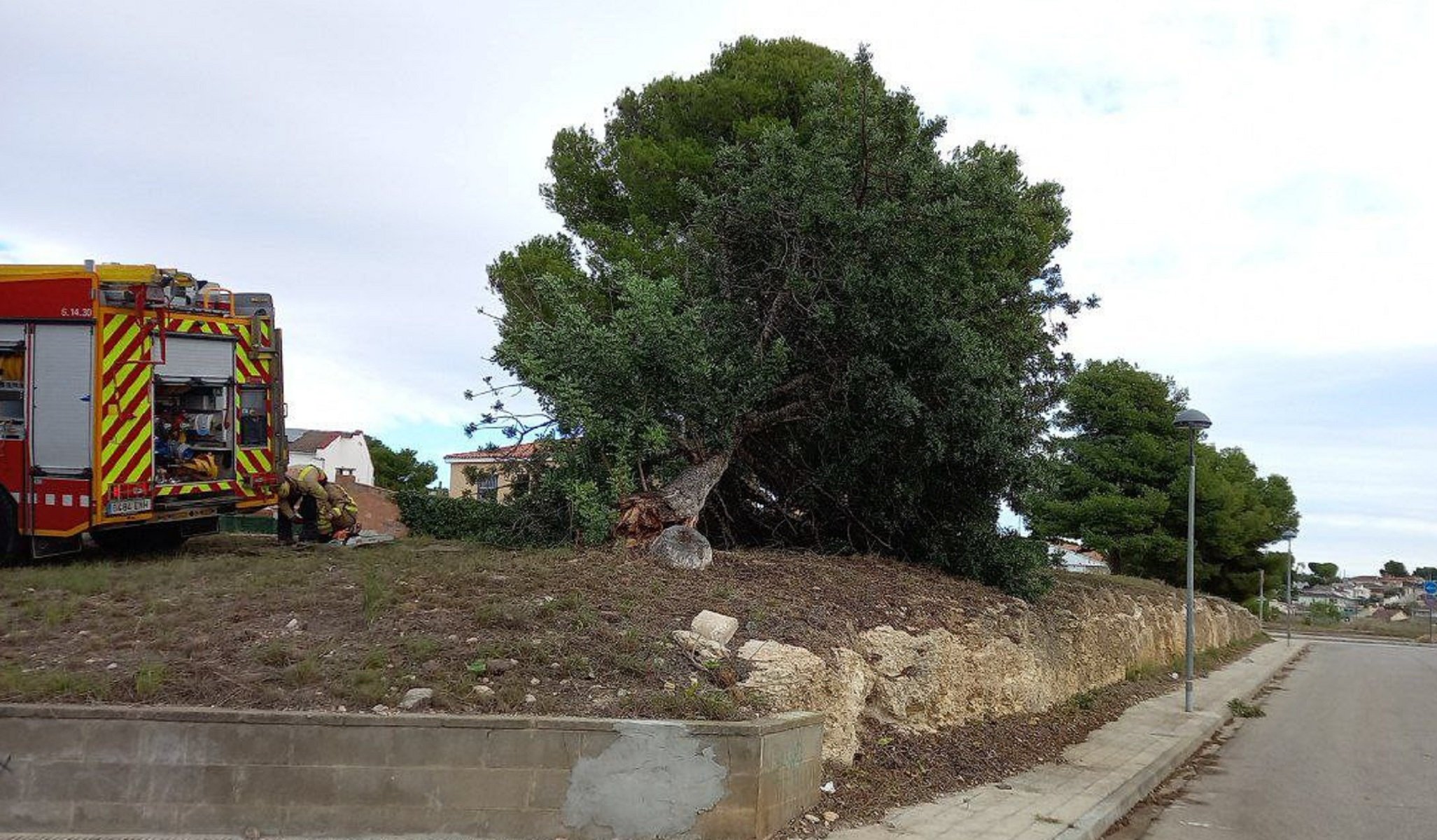 Árbol caído viento Cunit Foto Bombers Árbol caído viento Cunit Foto Bombers