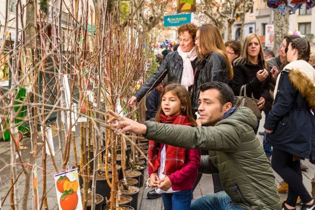 Feria de la Purissima Sant Boi 2022 actividades infantiles Turismo Baix Llobregat