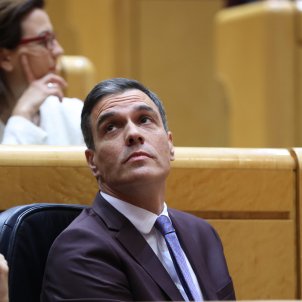 Pedro Sánchez ple Senat 22 novembre 2022   EFE