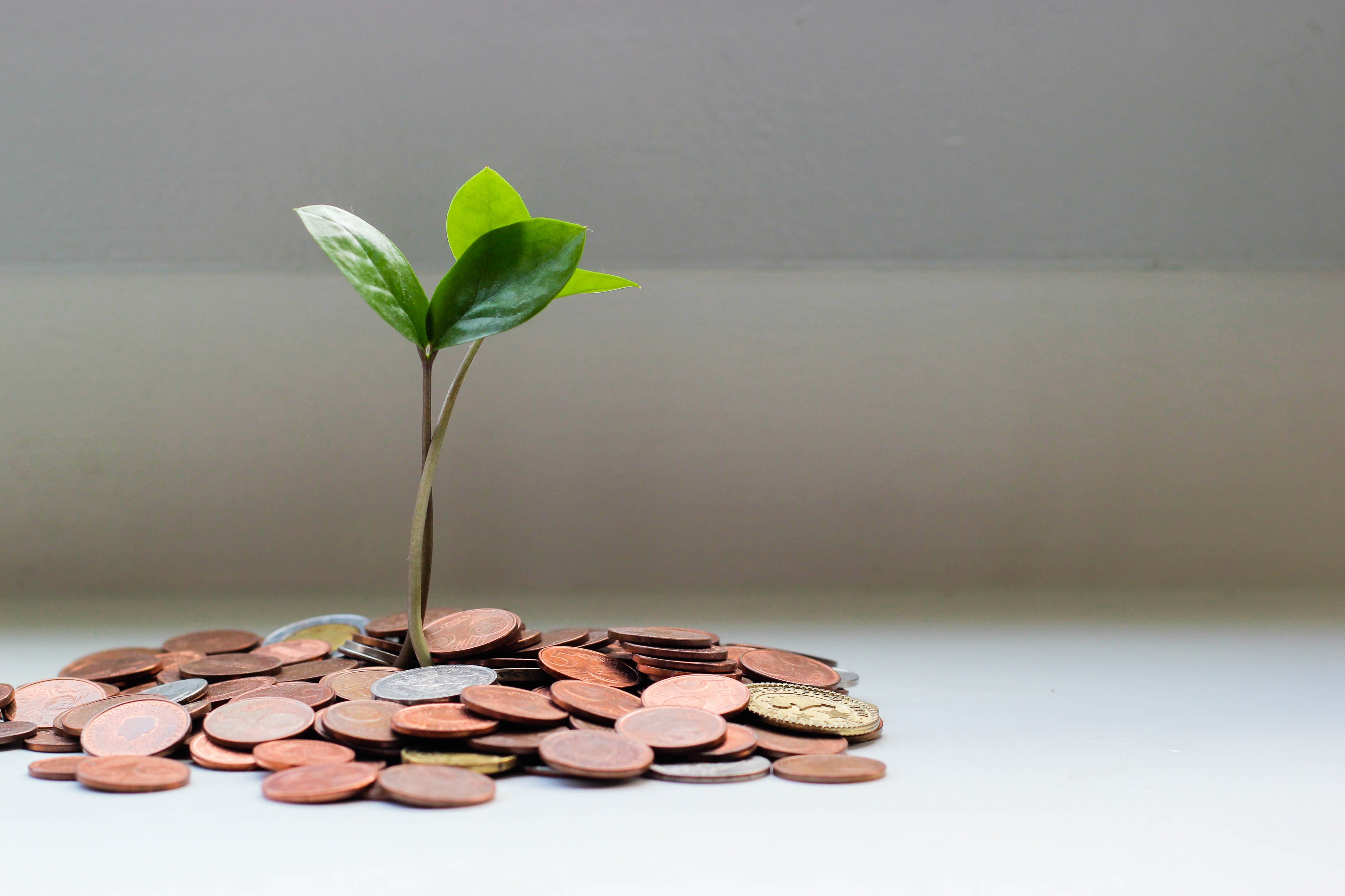 Ajuts de fins a 90.000 euros per projecte pel desenvolupament de serveis i productes contra el canvi climàtic