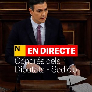 congres diputats sedicio en directe ultima hora pedro sanchez