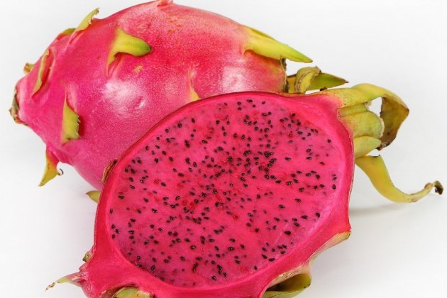 Fruta del Dragón Fruta del Dragón