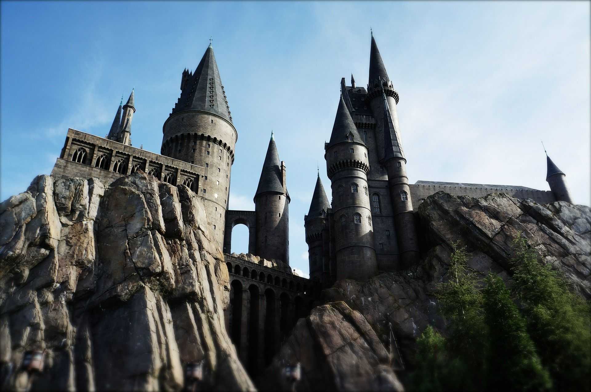 Harry Potter cambia de género y de padres, y triunfa