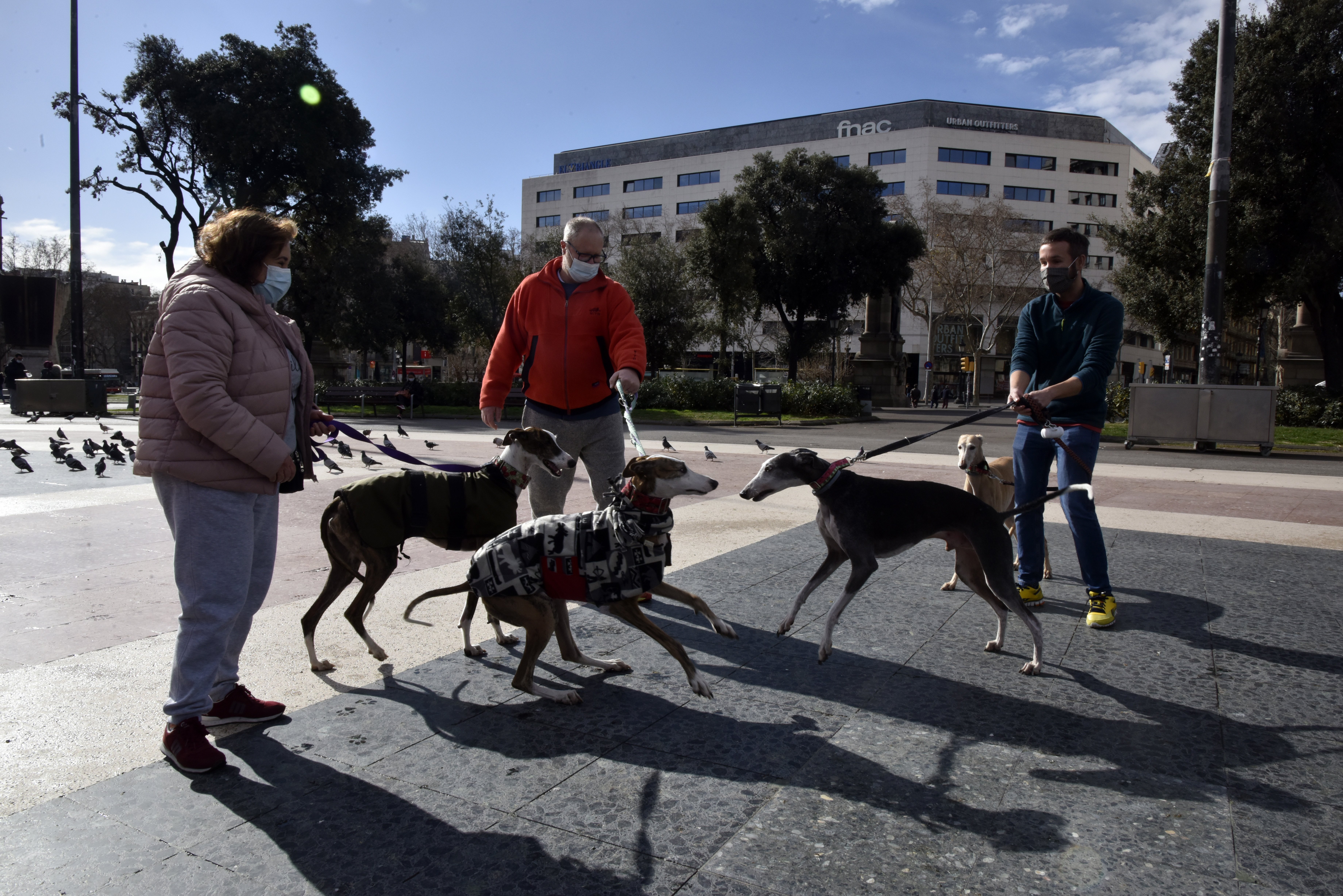 Barcelona tendrá cien áreas donde llevar los perros desatados