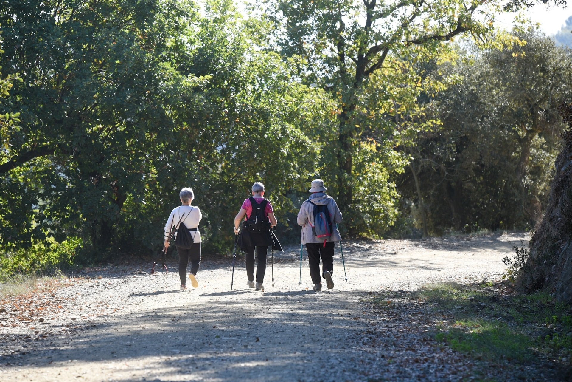 El Parque de Collserola de Barcelona bate el récord de visitantes: 6,4 millones de visitas en el 2021