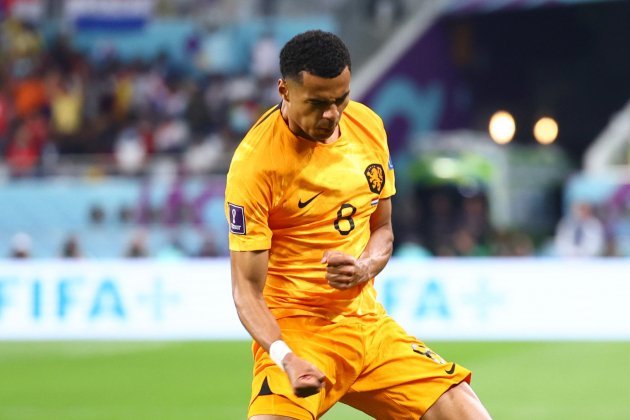 Cody Gakpo celebrant gol Països Baixos Equador / Foto: Tom Weller - Europa Press