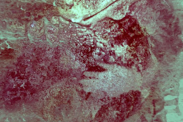 arte rupestre neandertal incuba Maltravieso H. Collado