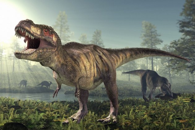 tiranosaure rex2 tiranosaure rex2